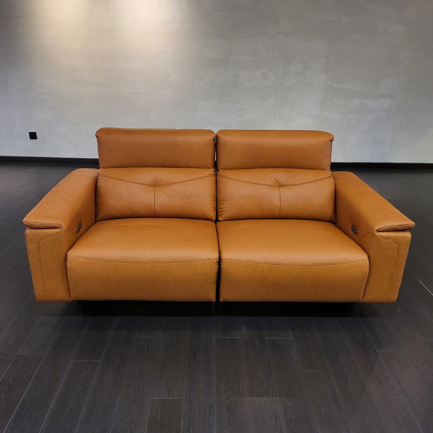 Andrade 2 Seater Classic Motorized Recliner Sofa